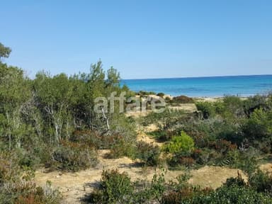 Terrain a 200 mètres de la mer