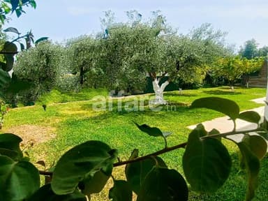 Menzah 7 à louer RDJ villa S+3 avec grand jardin