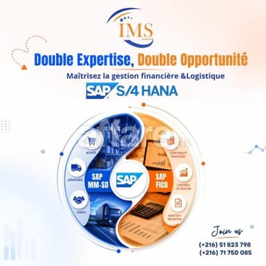 Formation SAP S 4HANA FICO et MM-SD