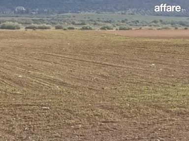 2 hectares nu a 36 km de Tunis