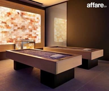 Spa Élégant Pour Une Sérénité Totale  28 801 661