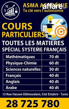 Cours particuliers (système français)