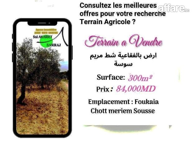 #________Offre #Terrain Agricole #Titré [#300m²] #Fokaia 