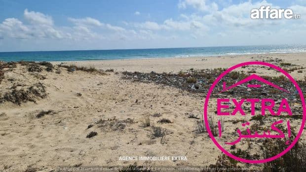 🌊 À Vendre – Terrain Pieds dans l’Eau à Dharoufa (Nabeul)