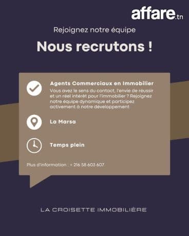 Agents Commerciaux en Immobilier – Ain Zaghouan