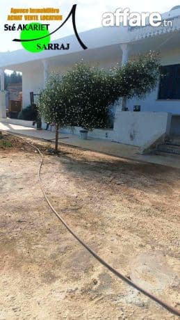 #Terrain #Clôturé [✍️#1254m²]#Prés #Zine Bledi #Tatana