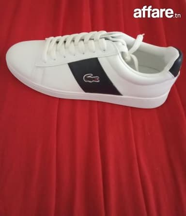 Lacoste men's sneakers
