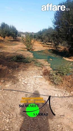 #Terrain #Clôturé [#2685m²] #Prés #Zine Bledi #Tantana