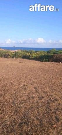 Terrain 2500m2 près du mer kef Abed 