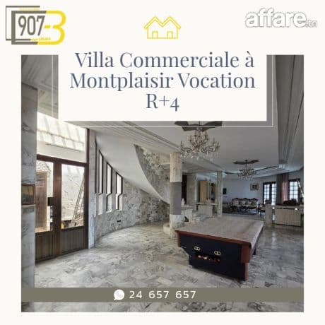 Villa Commerciale Exceptionnelle à Vendre située au Montplai