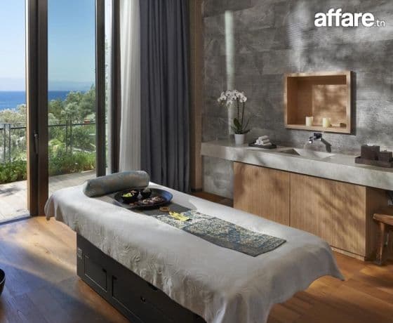 Expérience Élégante avec Massage Raffiné 20 130 449