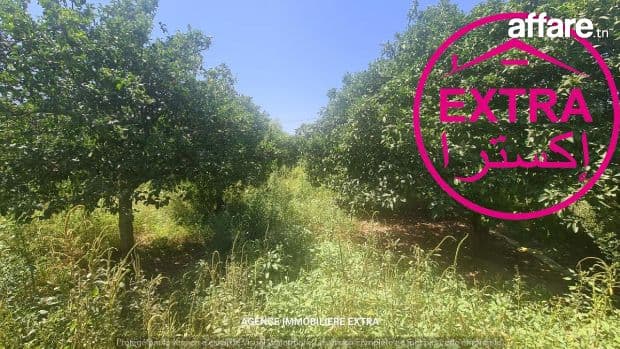 Vente Campagne à Nabeul 
