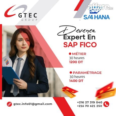 Formation SAP FICO : Finance et Contrôle de Gestion 