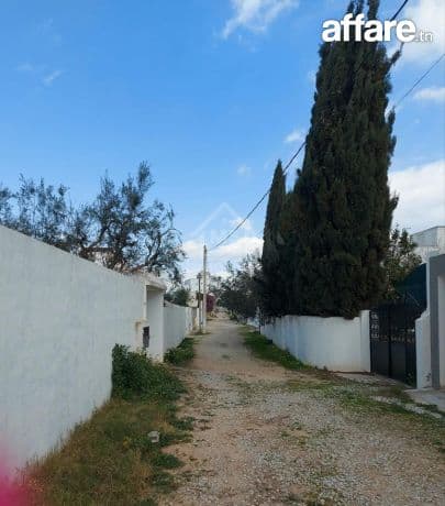 Terrain de 400 m² à vendre à Hammamet Zone théâtre 51355351