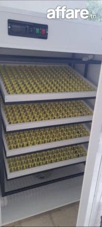 حضانات بيض مع ضمان 99945000