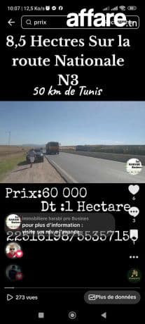 8.5 hectares Idéal pour agricole et commerces et services