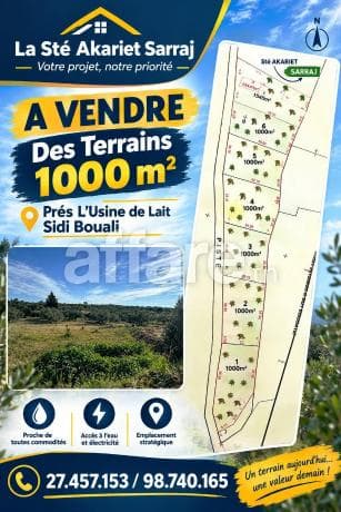 Lotissement Privé 1000m² Prés L Usine de Lait Sidi Bouali