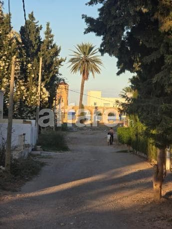 Terrain 528 m² direct sur la route touristique chatt mariem