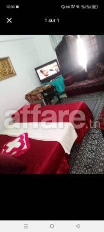 شقق مفروشة للايجار باليوم اسبوع في تونس العاصمة 