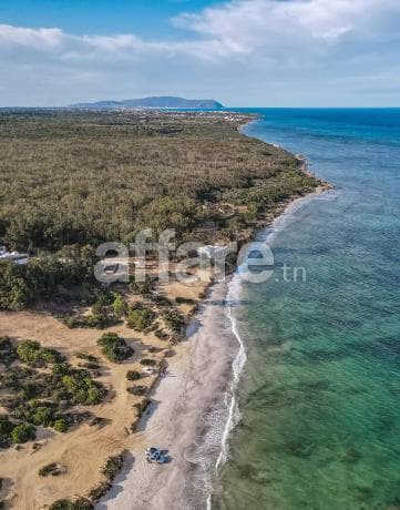 Un terrain pour investissement près de kelibia