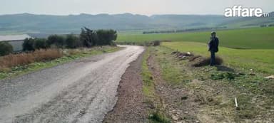 Terrain agricole de 2, 5 h vanne teskraya bizerte 