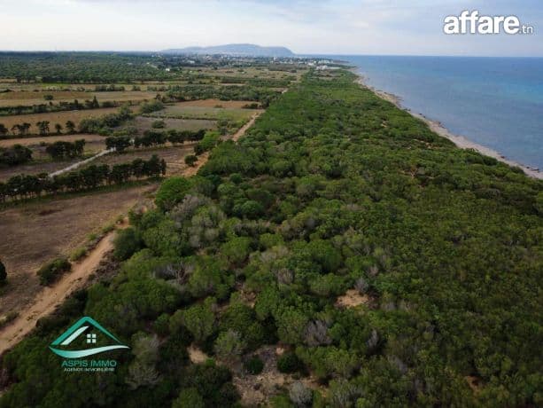 ارض 1149 م²  في كركوان  بجوار الغابة