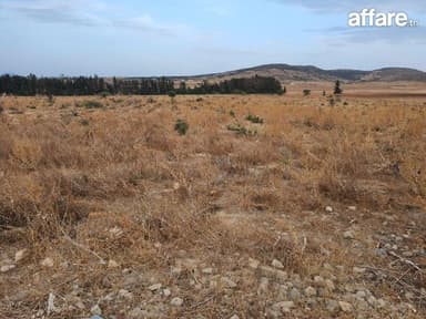 À vendre : terrain agricole de 2 hectares avec façade de 100