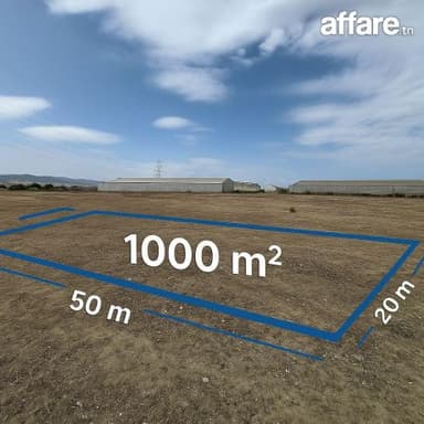 Terrain agricole 1000m² titré à Grombalia – El Fondok Jedid