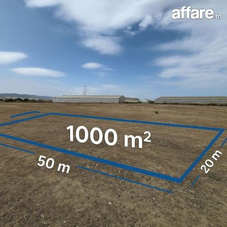 Terrain agricole 1000m² titré à Grombalia – El Fondok Jedid