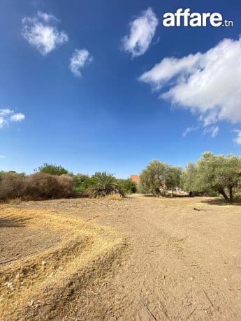 Terrain constructible a vendre gafsa