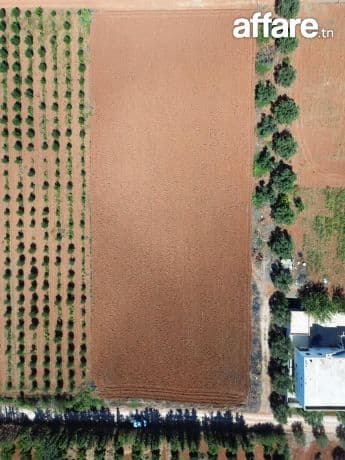 أرض للبيع