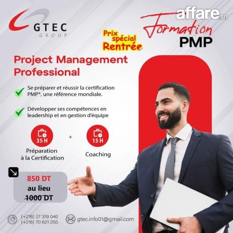 Formation + Coaching PMP 