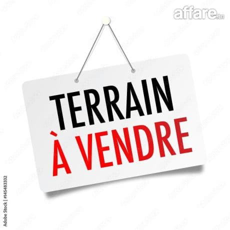 A vendre des lots de terrains 