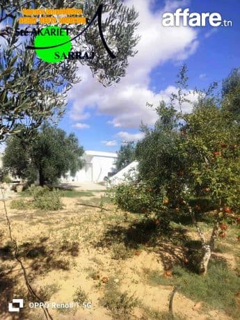 Senia Clôturé [#5300m²] Sur la route Goudronné #Kalaa Kebira