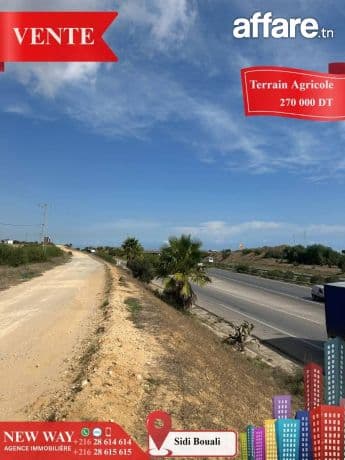  Terrain Agricole à Sidi Bouali près de l'autoroute et GP1 