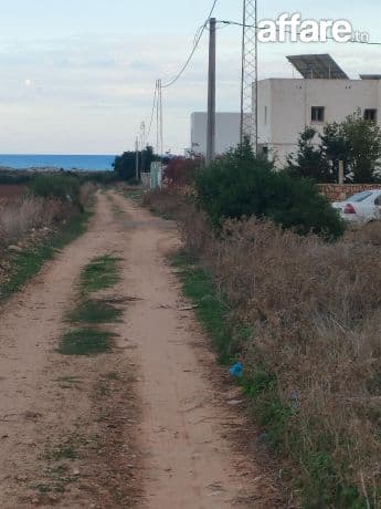 Terrain à vendre lebna plage 