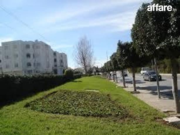 Location locaux commerciaux sur avenue