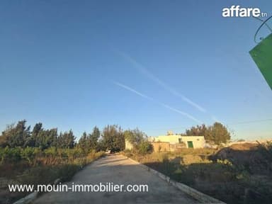 FERME ASIL Borj Hfaiedh Beni Oueil T1206