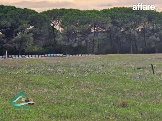 أرض 14000 م² في كركوان  على الطريق الرئيسي MC27