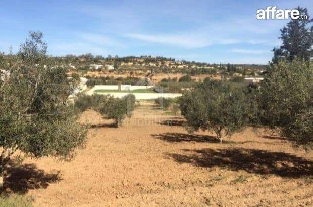 Terrain de 2500 m² à vendre à 270 MD à Hammamet Sud 51355351