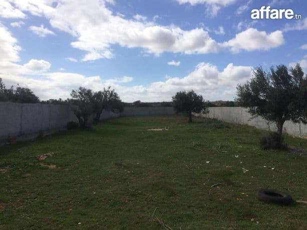 A vendre un terrain à sidi Hamed Hammamet  
