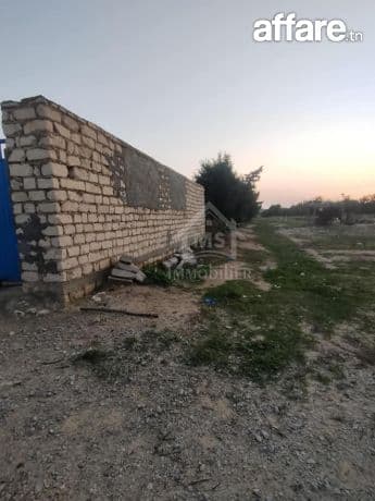 Terrain clôtuiré de 13337 m² à Béni Khiar à vendre 51355351