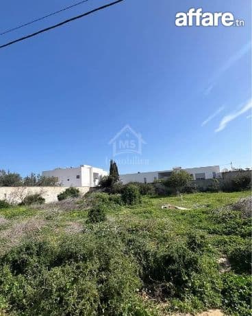 Un terrain de 650 m² dans la zone de Sidi Mahressi à vendre