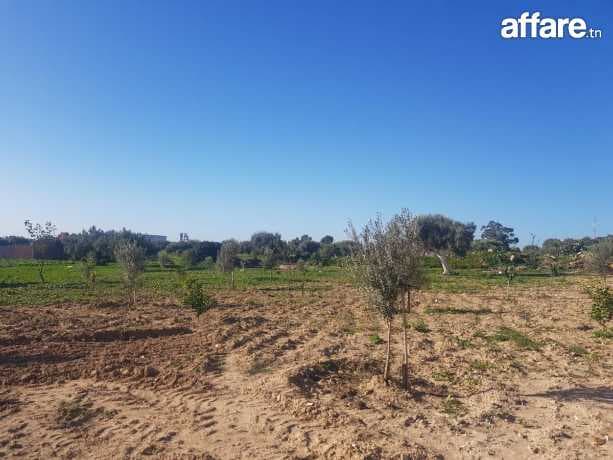 Terrain 5301 m2 Avec Vue Magnifique