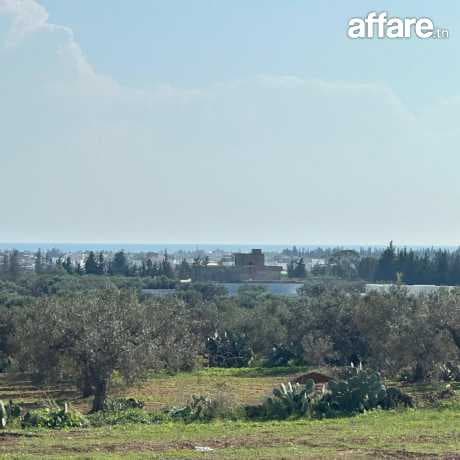terrain à vendre vue sur mer 
