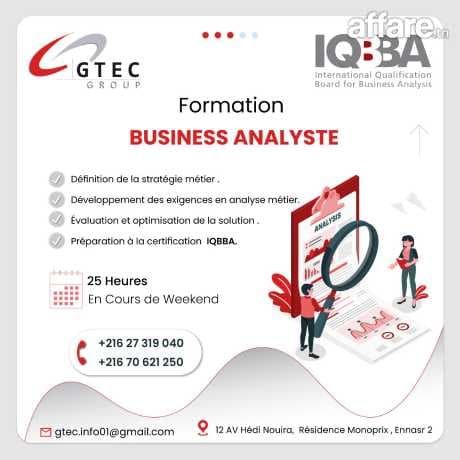 Formation Business Analyst