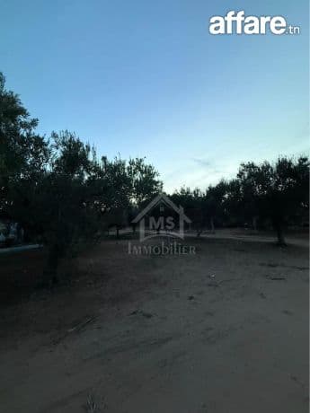 Terrain de 500 m² à daroufaa à vendre 51355351