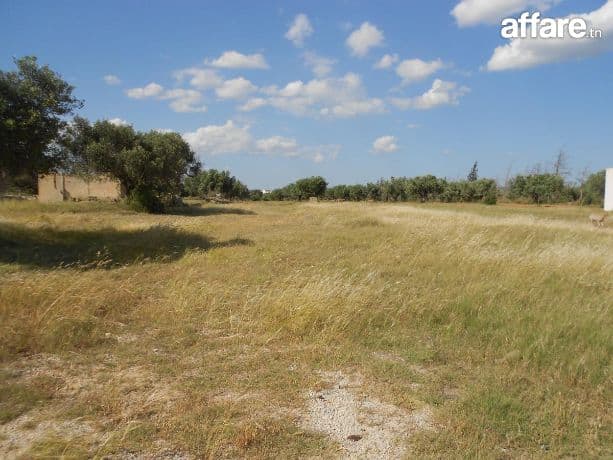 Terrain Ilhem à Sidi Hammed