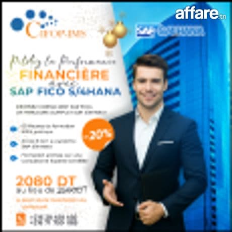 SAP FICO S4/HANA