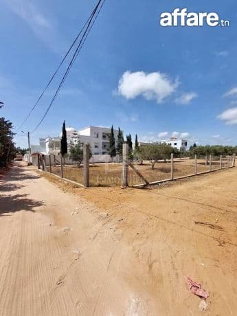 Terrain viabilisé de 600 m² à vendre à Hammamet 51355351